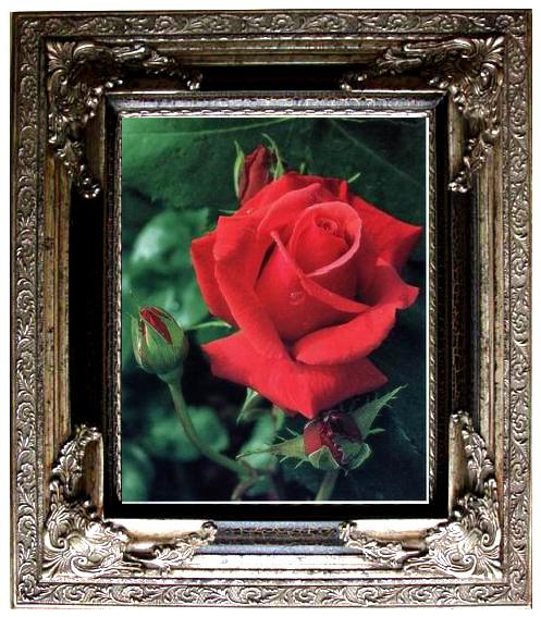 framed  unknow artist Still life floral, all kinds of reality flowers oil painting  302, Ta053